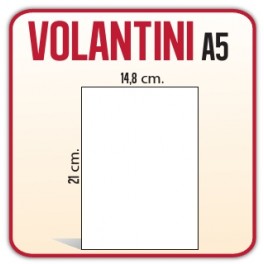 250 Volantini A5 14,8x21 cm