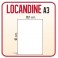 250 Locandine A3