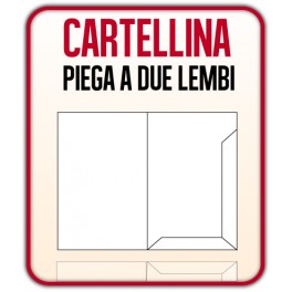 100 Cartelline con lembi