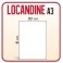 10 Locandine A3 - Stampa in 24 H