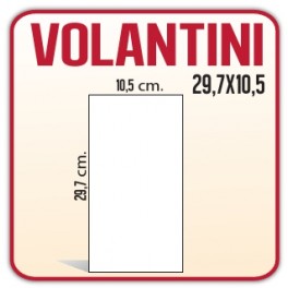 1000 Volantini A4 (metà) 10,5x29,7 cm.