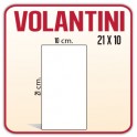 10000 Inviti/Volantini/Presentazioni 10x21 cm.