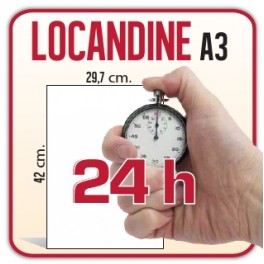 250 Locandine A3 - 42x29,7 cm