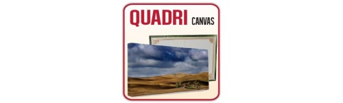 Quadri Canvas